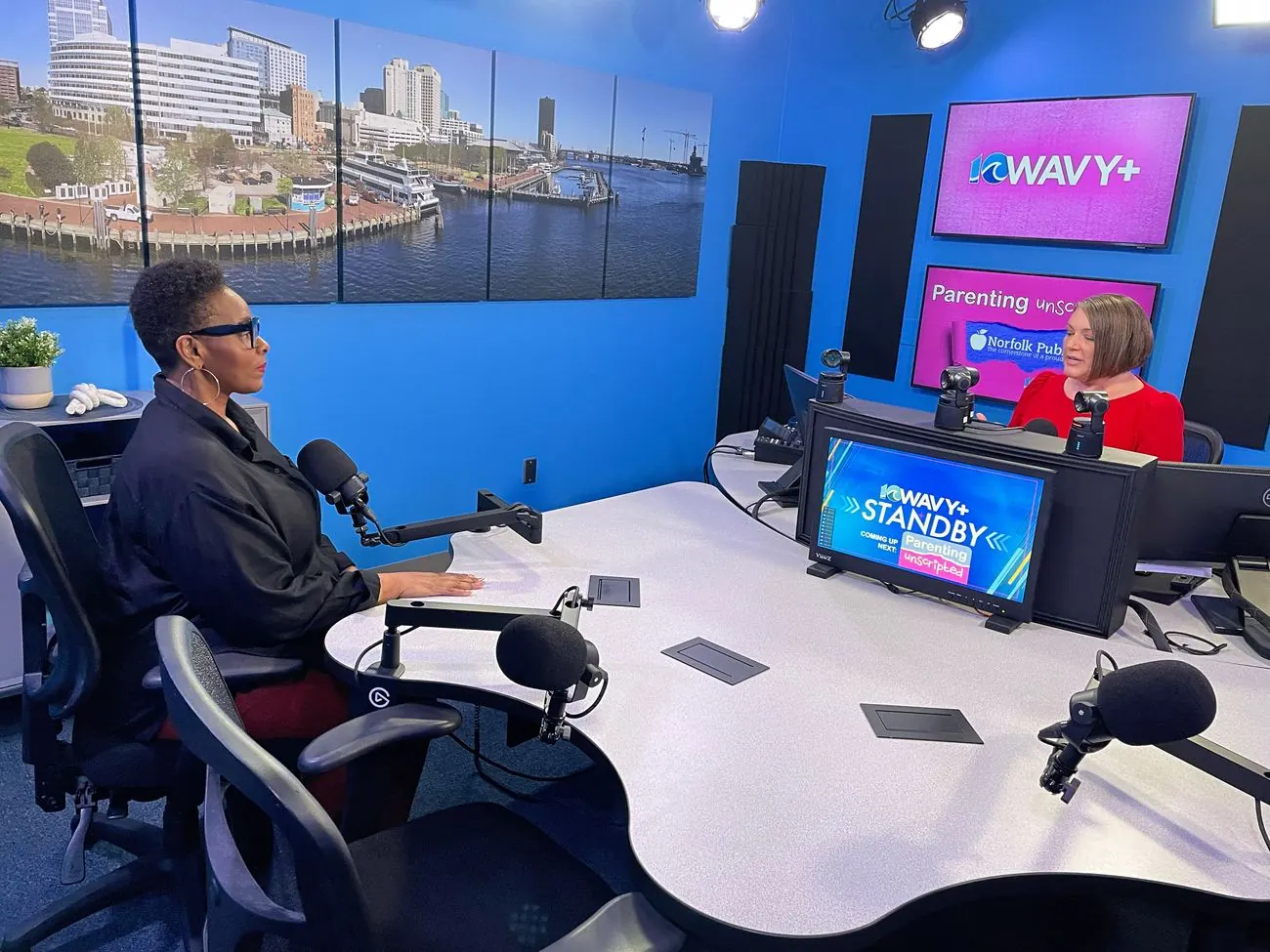 Paula Banks being interviewed in the WAVY TV studio